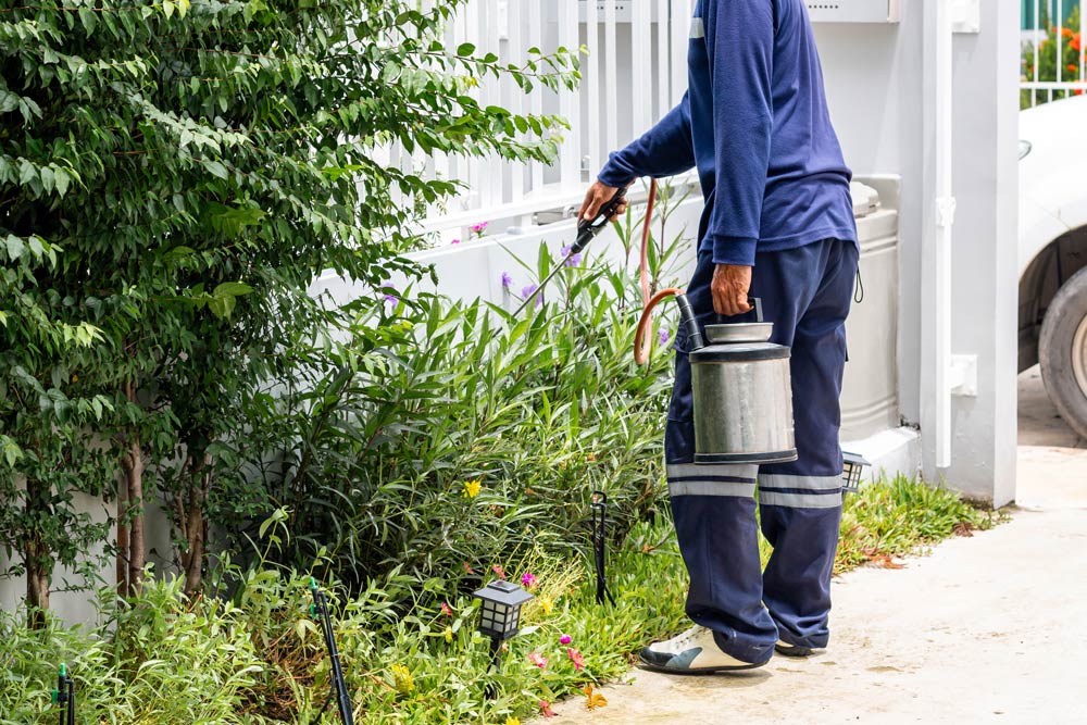 Spraying Bushes
