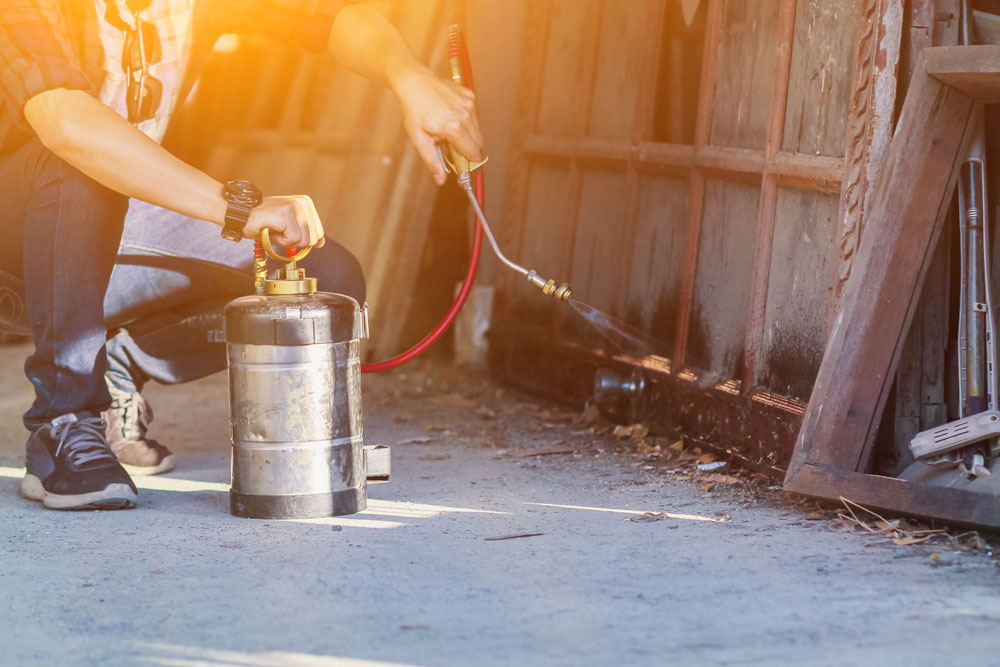 Spraying Fence