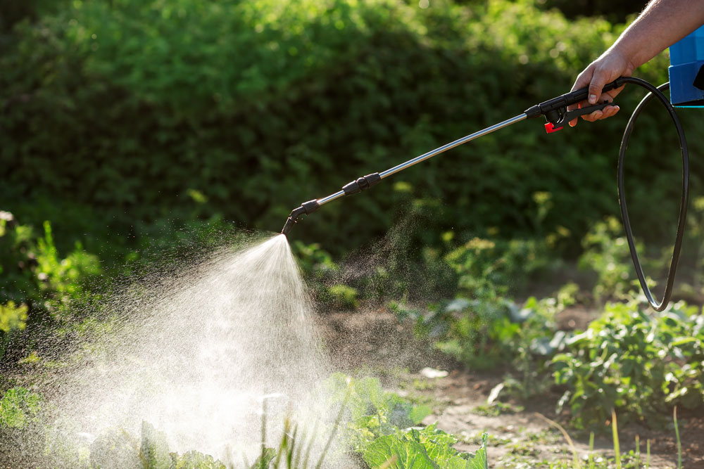 Spraying